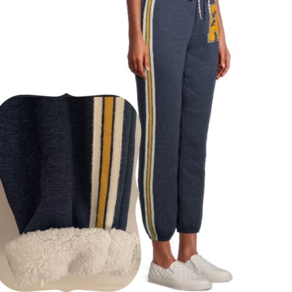 No Boundaries Sherpa Lined Blue Joggers